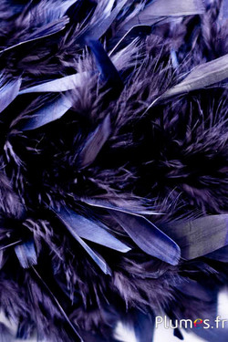 Coq mèche  - 10 cm - bleu nuit-noir